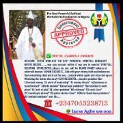 Chief Dr Ifagbamila